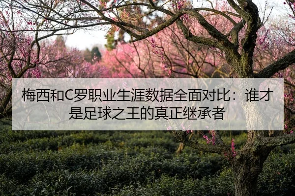 梅西和C罗职业生涯数据全面对比：谁才是足球之王的真正继承者